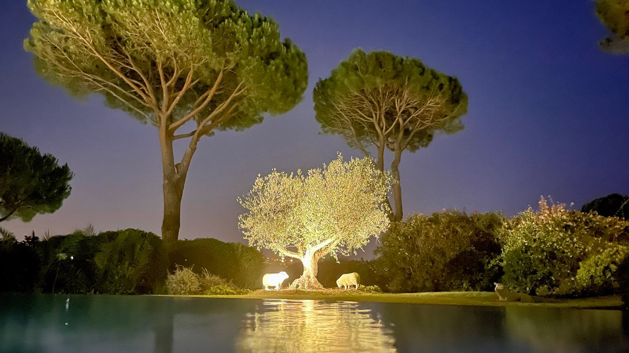 Villa avec piscine à Sainte Maxime