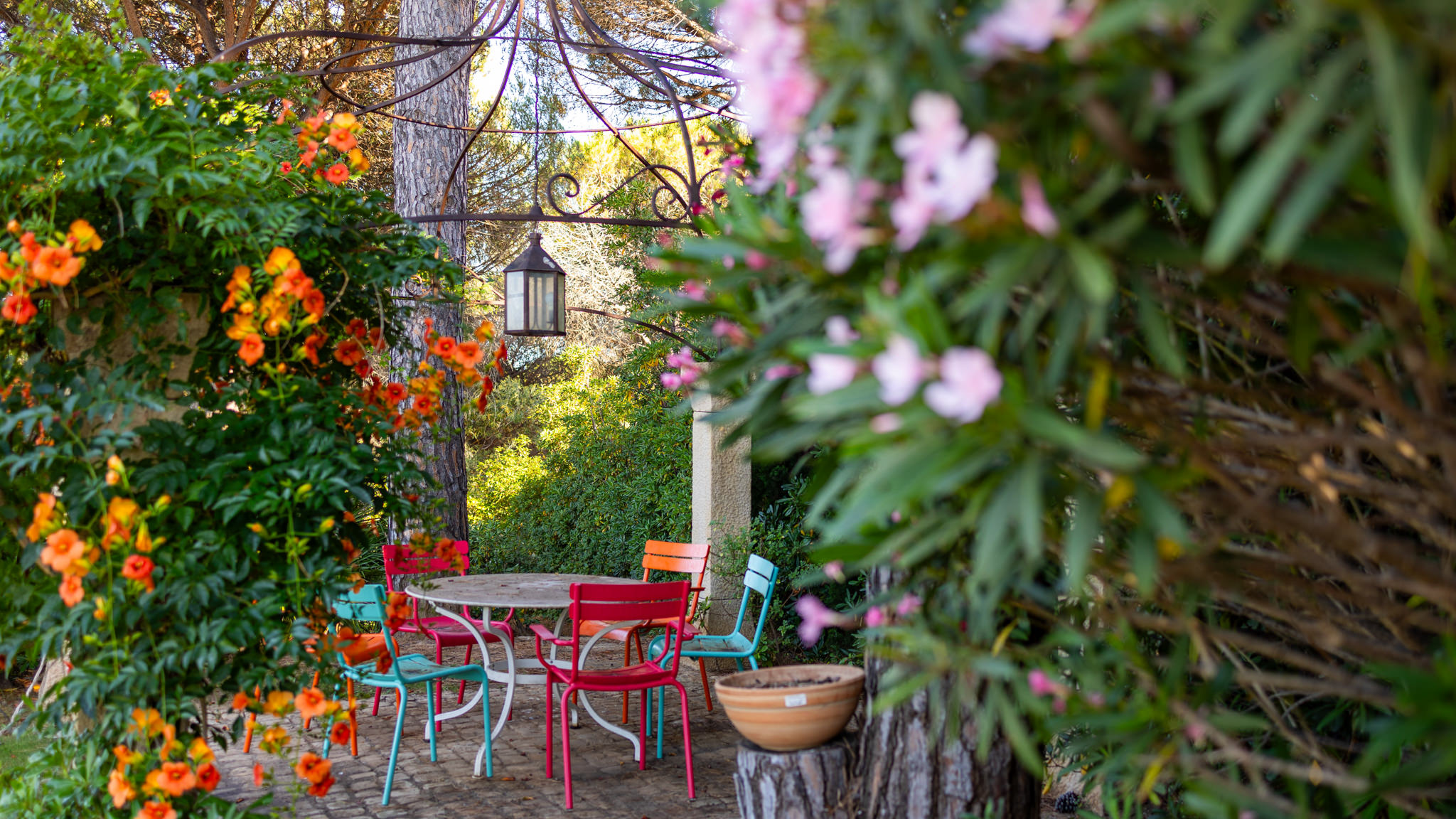 Villa avec une terrasse fleurie et une piscine à Sainte Maxime